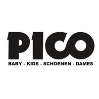 123magie Logo Pico Mode